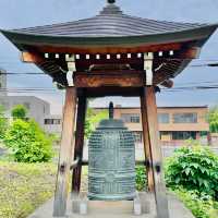Tranquil Escape in Naritasanshinkyu-ji