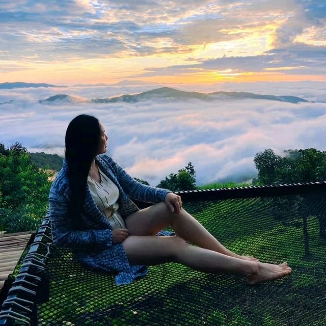 จูเลี๊ยะแค้มป์ม่อนเงาะ เชียงใหม่ 🌱