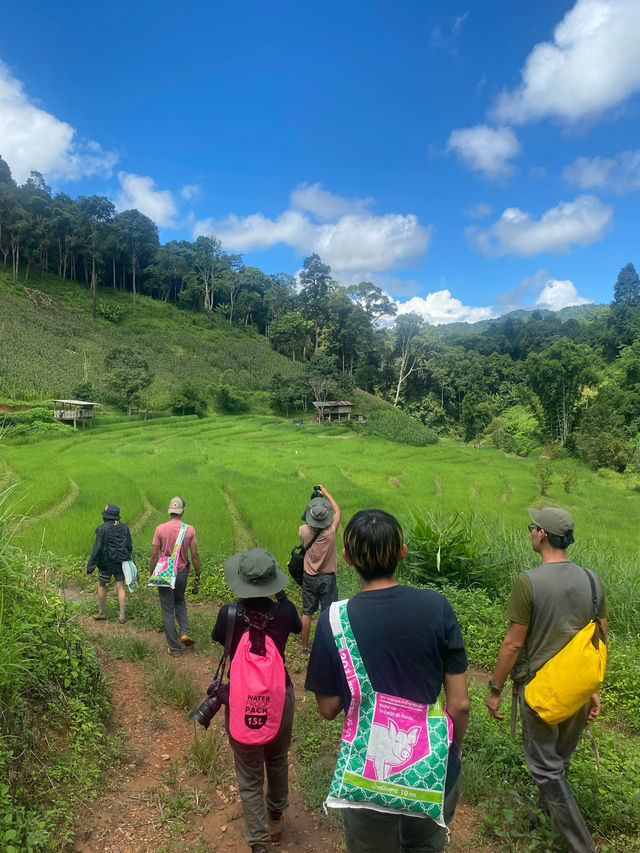 ฤดูฝนที่บ้านแม่ตะละ | เชียงใหม่ ⛰️🌧️🌾🌳