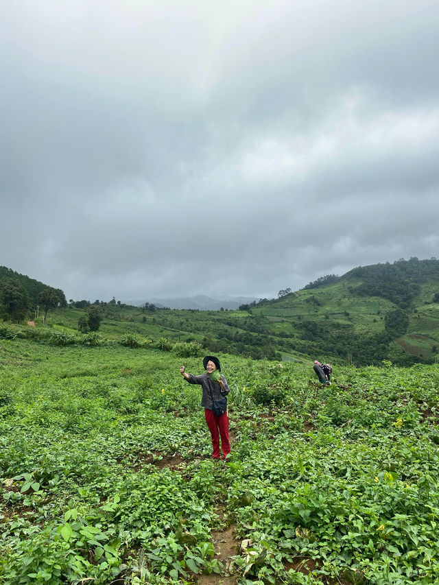 ฤดูฝนที่บ้านแม่ตะละ | เชียงใหม่ ⛰️🌧️🌾🌳