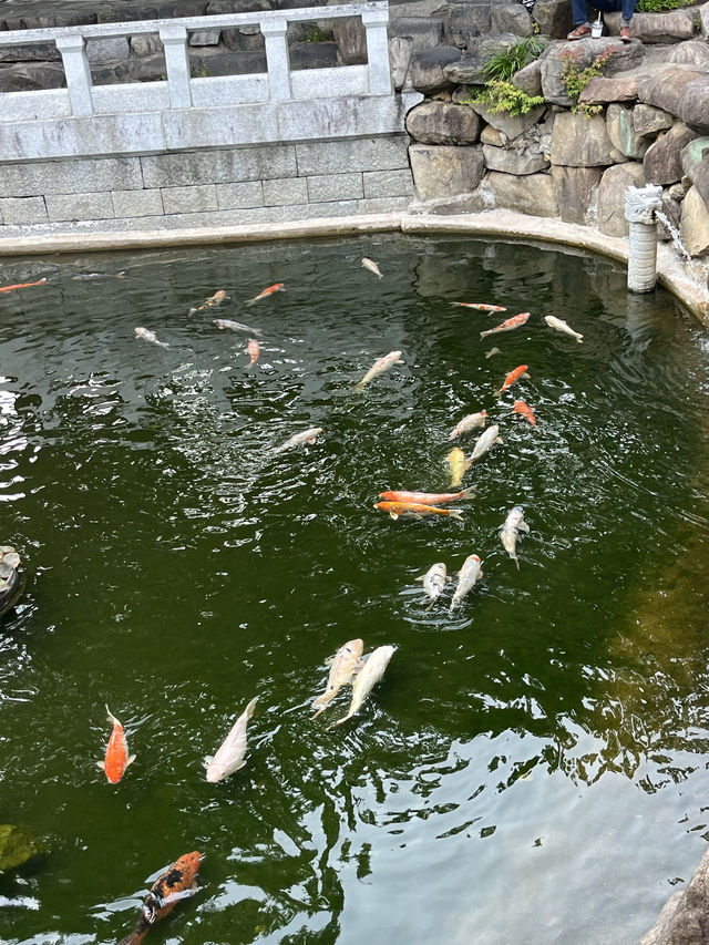 부산 산책하기좋은 스팟