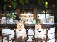 ร้านอาหารลับๆ ย่านรังสิต ที่เป็นPet friendly 
