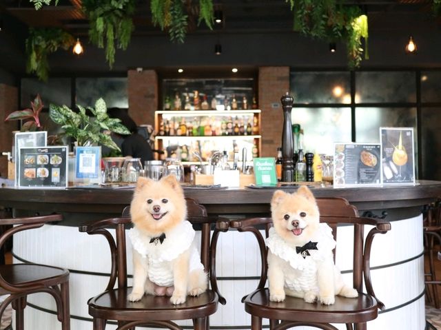 ร้านอาหารลับๆ ย่านรังสิต ที่เป็นPet friendly 
