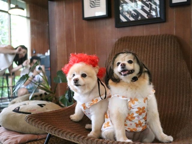 Hotto Bun คาเฟ่ที่แฮปปี้ทั้งคนทั้งน้องหมา 😊🐶