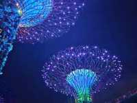 Singapore vs. Malaysia (I initially thought these were very similar countries)