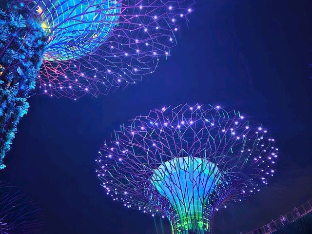 Singapore vs. Malaysia (I initially thought these were very similar countries)