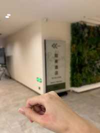 珠海人氣網紅酒店實測