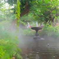☕️ Paan Arun Cafe & Stay คาเฟ่แยกอรุณอมรินทร์