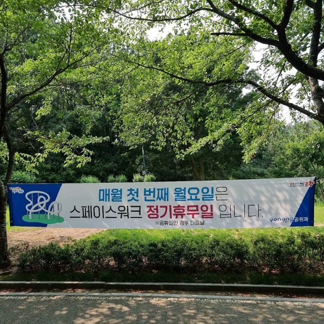 스페이스워크로 짜릿한 경험을
