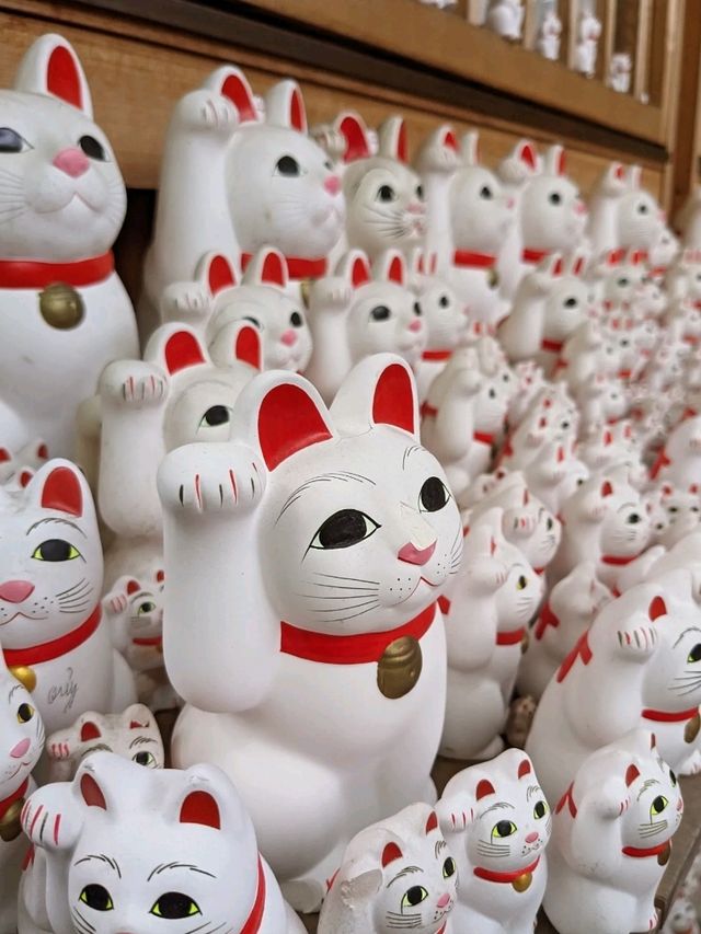 日本東京-來豪德寺帶隻招福貓回家吧！