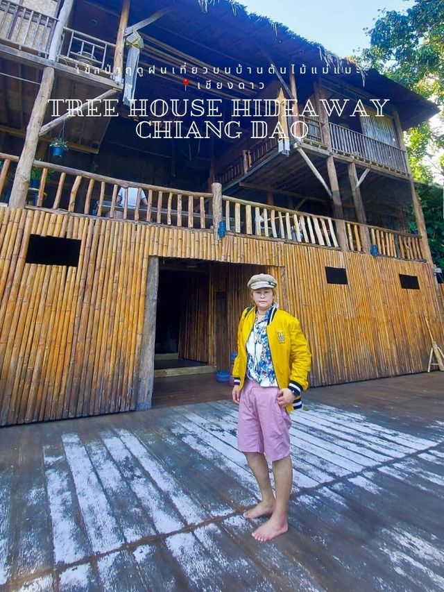 เข้าป่าฤดูฝนเที่ยวบน บ้านต้นไม้ แม่แมะ - เชียงดาว