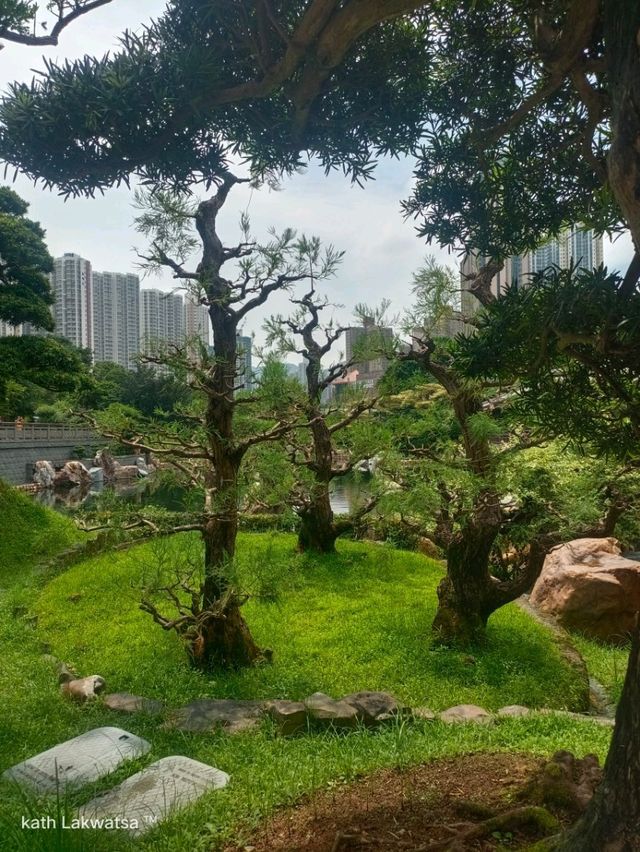 Nan Lian Garden, Hong Kong
