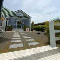 little house café and playground