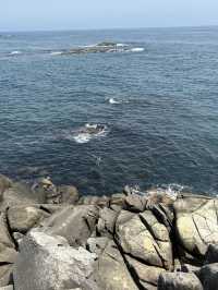 강원도 고성 BTS촬영지 산책하기🍀🌊