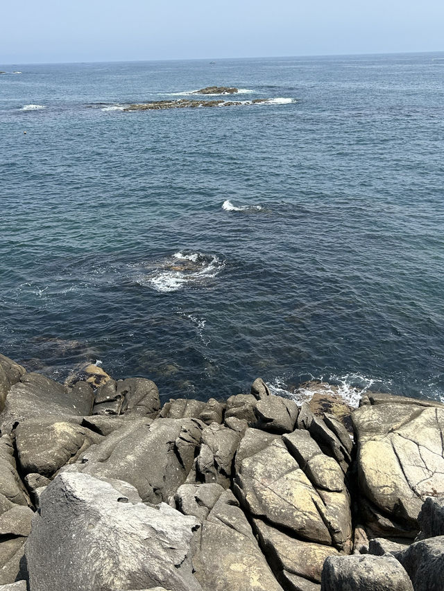 강원도 고성 BTS촬영지 산책하기🍀🌊