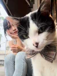 타이베이101을 바라보기 좋은 명소와 지우펀🐱❤️
