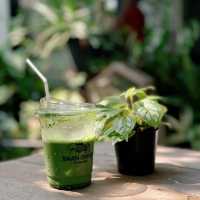 🌿Baan Orpor