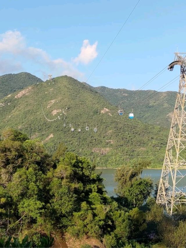 最佳數飛機地點- 觀景山