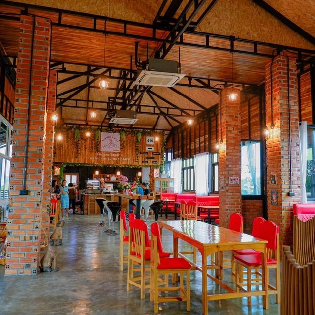 419 road hill trang