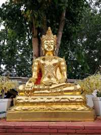 วัดดังสายมู ขอพรหลวงพ่อทันใจ📍วัดพระธาตุดอยคำ