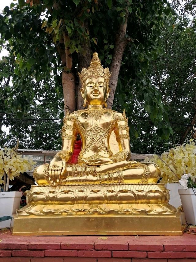 วัดดังสายมู ขอพรหลวงพ่อทันใจ📍วัดพระธาตุดอยคำ