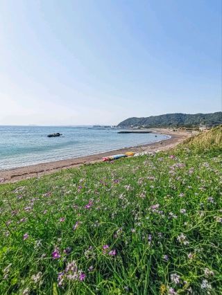Chojagasaki, Hayama