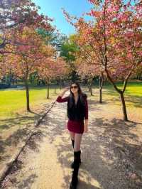 Escape to Nami Island: A Seoul Day Trip 🌳🍁🇰🇷