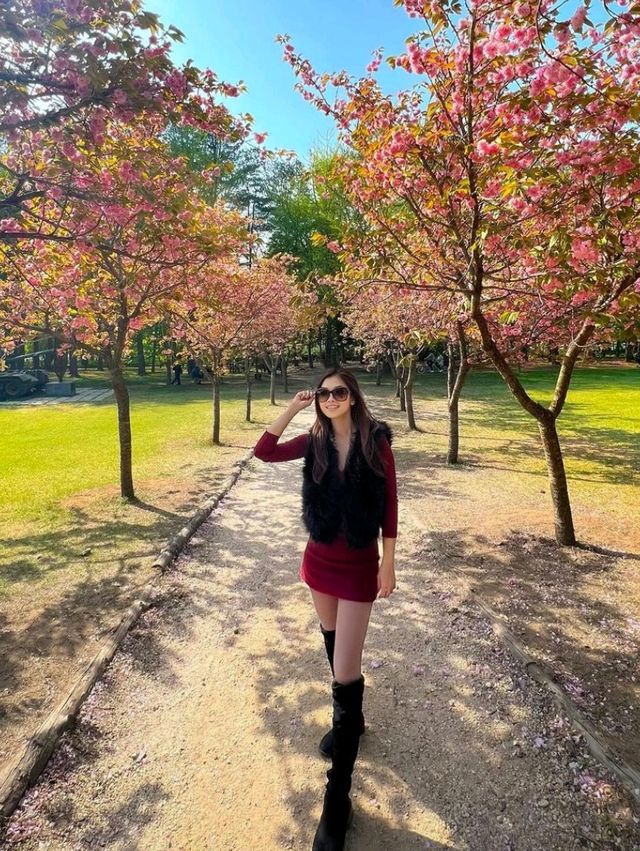 Escape to Nami Island: A Seoul Day Trip 🌳🍁🇰🇷