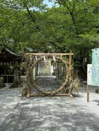 【福岡神社】月に2度変わる花手水が美しい大人気の神社