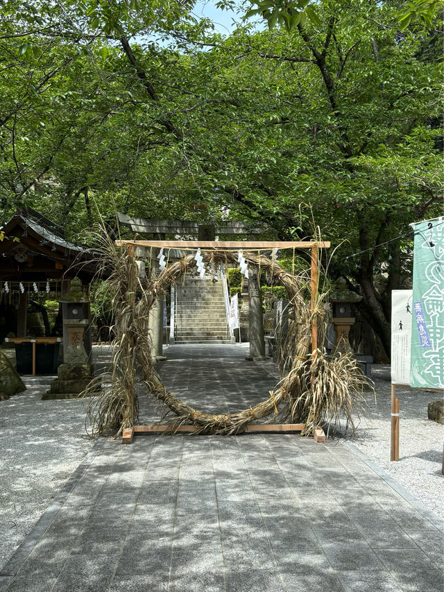 【福岡神社】月に2度変わる花手水が美しい大人気の神社