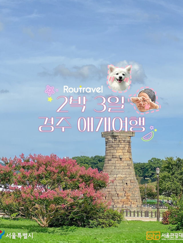 강아지도 아이도 모두가 만족스러울 경주 2박 3일 애개여행💗 