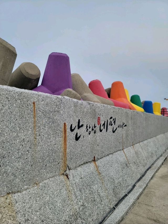 알록달록 컬러풀 방파제가 있는 동해💛