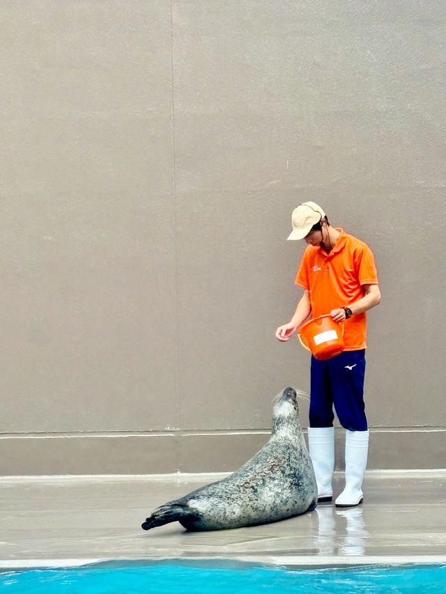 【日本東北】加茂水族館：世一水母水族館，深藍色水槽前夢幻打卡