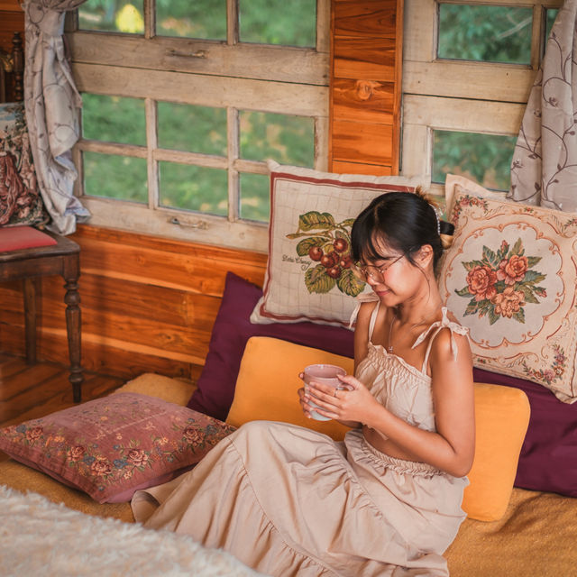 นอนบ้านต้นไม้สุดส่วนตัว ที่พักเทพเสด็จ เชียงใหม่ 