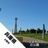 【兵庫県 小野市】ひまわりがたくさん！ちびっ子にもオススメ！