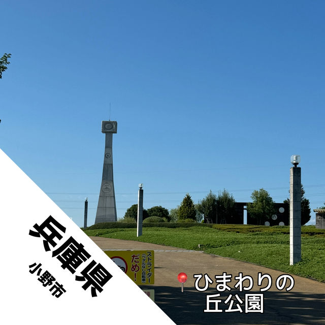 【兵庫県 小野市】ひまわりがたくさん！ちびっ子にもオススメ！