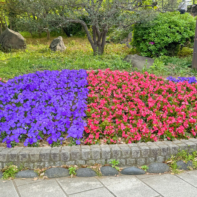 【東京】🌳 都会のオアシス『日比谷公園』で心も体もリフレッシュ🍃
