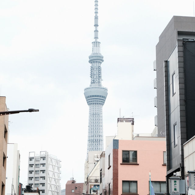 Asakusa Checklists
