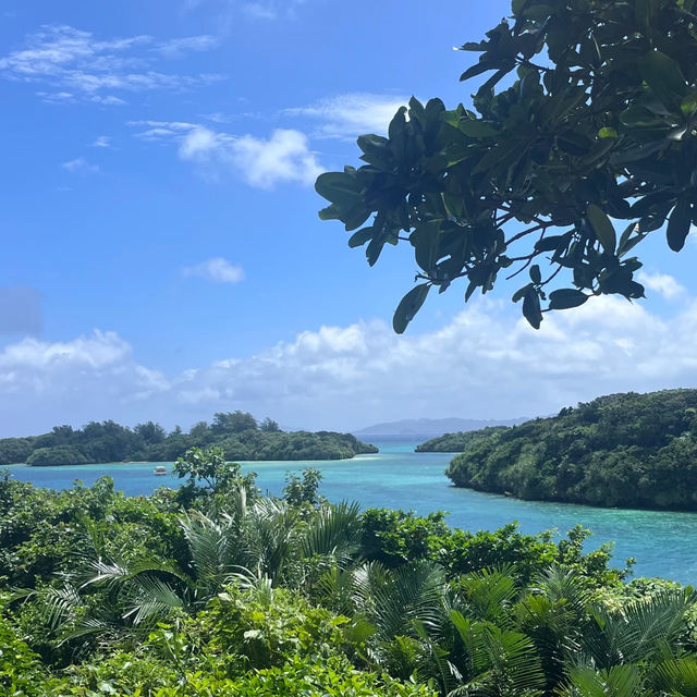 碧藍海灘，純粹快樂與寧靜🏝️🌊🐠【久米島】