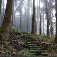 Alishan...อาหลีซาน ธรรมชาติไต้หวัน