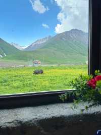 Truso Valley🇬🇪หมู่บ้านแห่งความฝัน
