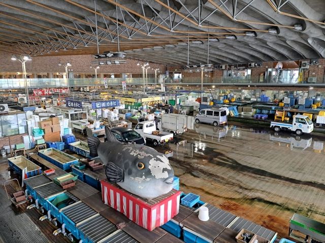 【唐戸市場:山口県下関市】絶品お寿司や海鮮が沢山ある唐戸市場🐟