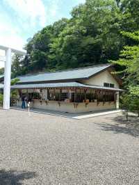 【館山】必見！日本金運3大神社の一つ