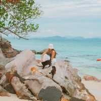 เกาะแมว สวรรค์ของเหล่าทาส! 🐈🏝