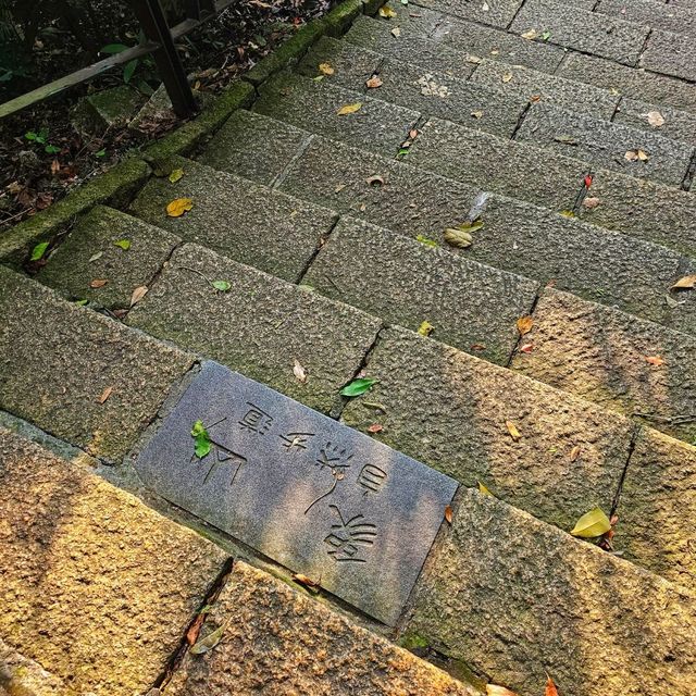 【臺北】市民喜愛的郊山步道之一，適合各年齡層的登山愛好者。