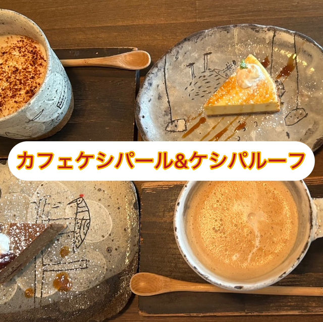 【カフェケシパール&ケシパルーフ】絶品🩵チーズケーキ😋