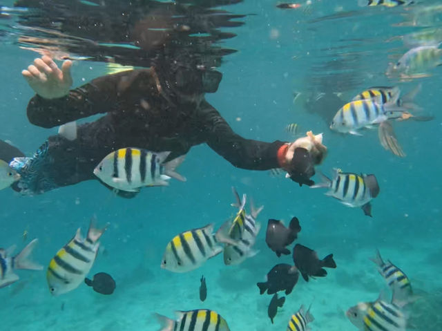 Discover paradise at Mabul Island 🏝️
