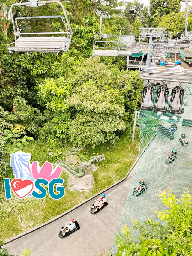 🚡 Luge your way down in Sentosa