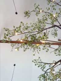Treescape Pattaya