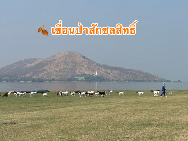  🍂 เขื่อนป่าสักชลสิทธิ์